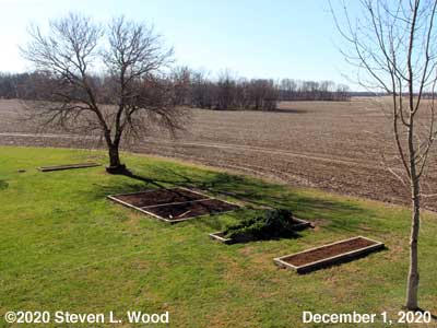 Our Senior Garden - December 1, 2020