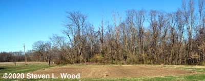 Our East Garden - December 1, 2020