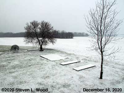 Our Senior Garden - December 16, 2020
