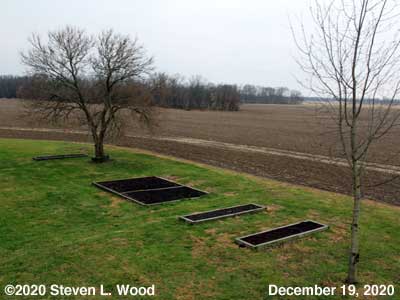 Our Senior Garden - December 19, 2020