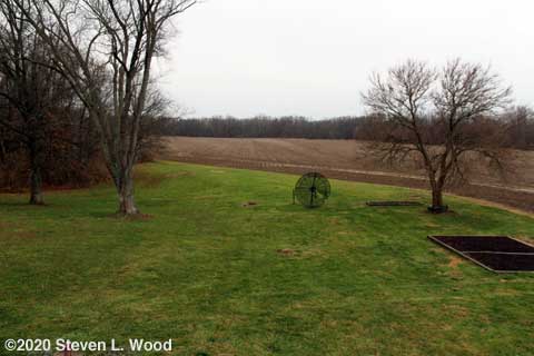Back yard view