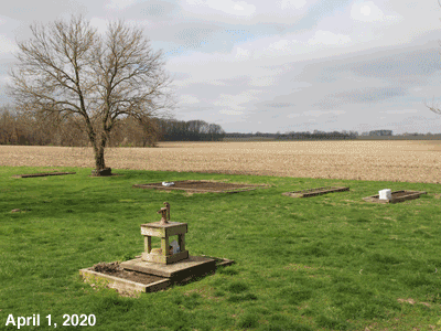 April, 2020, animated GIF of our Senior Garden