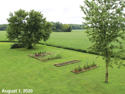 August 2020 animated GIF of our Senior Garden