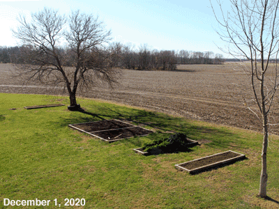 December, 2020, animated GIF of Our Senior Garden