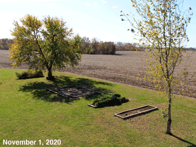 November, 2020, animated GIF of our Senior Garden