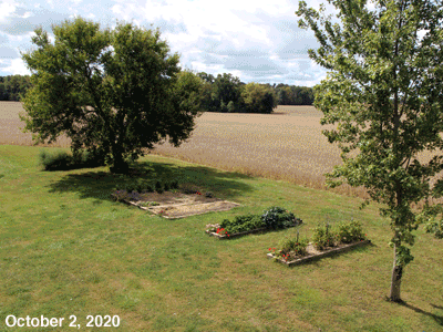 October, 2020, animated GIF of our Senior Garden
