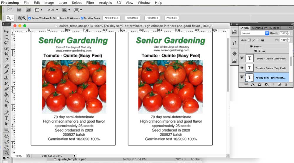 Quintr seed envelope template