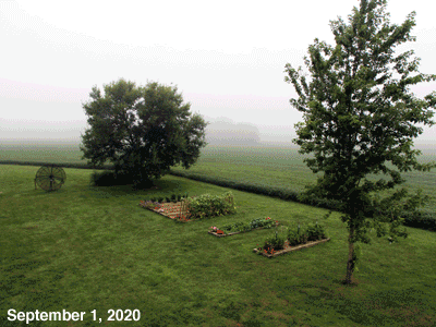 September, 2020, animated GIF of our Senior Garden