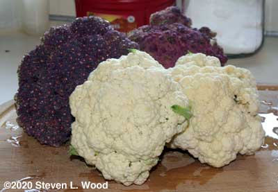 Cauliflower from last summer