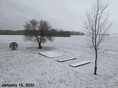 Our Senior Garden through 2021