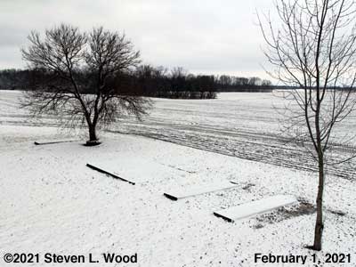 Our Senior Garden - February 1, 2021