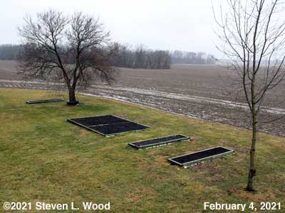 Our Senior Garden - February 4, 2021