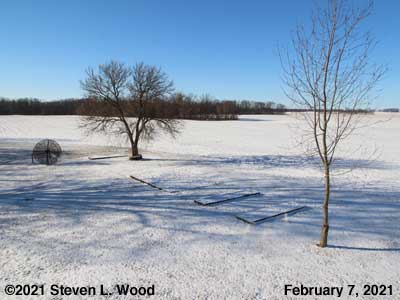 Our Senior Garden - February 7, 2021