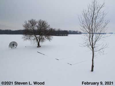Our Snowy Senior Garden - February 9, 2021