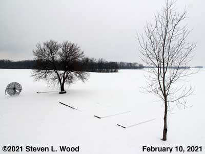 Our Senior Garden - February 10, 2021