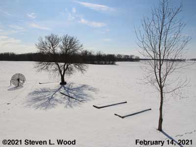 Our Senior Garden - February 14, 2021