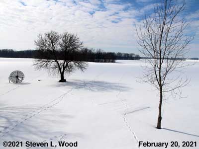 Our Senior Garden - February 20, 2021
