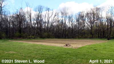 Our East Garden - April 1, 2021