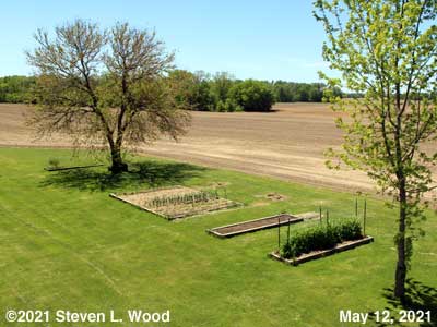 Our Senior Garden - May 12, 2021