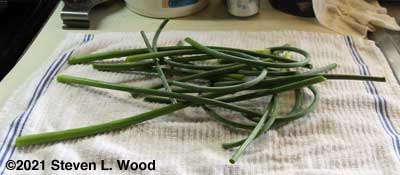 Scapes washed and trimmed