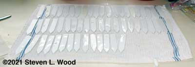 Cleaned plant labels drying