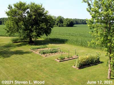 Our Senior Garden - June 12, 2021