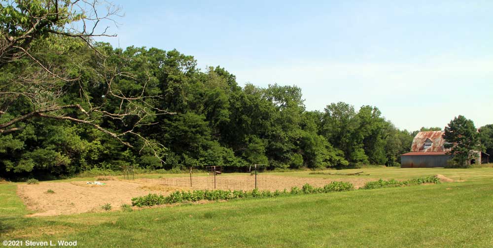 Our East Garden - June 18, 2021