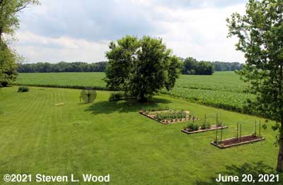 Our back yard and Senior Garden - June 20, 2021