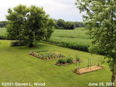 Our Senior Garden - June 29, 2021