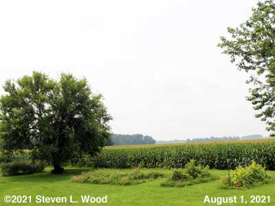 Our Senior Garden - August 1, 2021