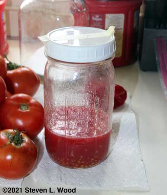 Tomato seed fermenting