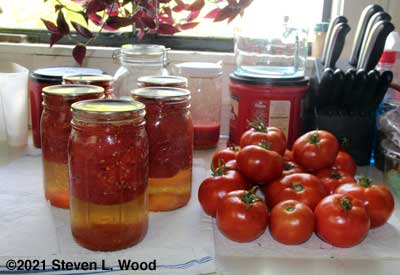 Canned and fresh tomatoes