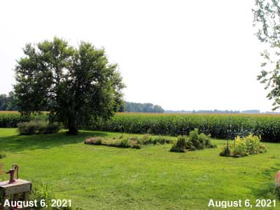 Our Senior Garden - August 6, 2021
