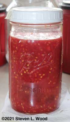 Another batch of tomato seed and gel fermenting