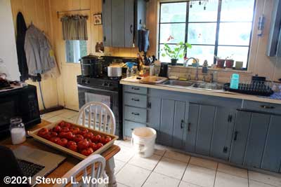 Ready to begin canning tomatoes