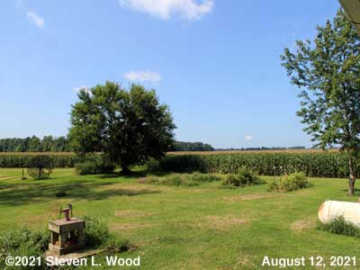 Our Senior Garden - August 12, 2021