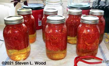 Seven more quarts of tomatoes canned