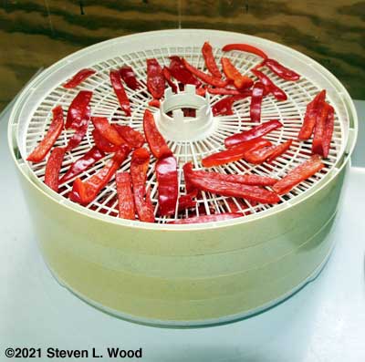 Pepper strips in food dehydrator
