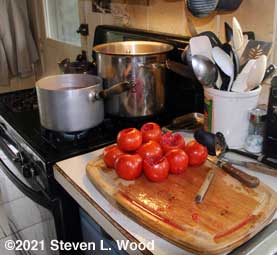 Tomatoes ready for hot water bath