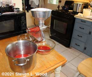 Squeezo extracting juice and pulp