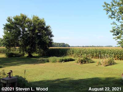 Our Senior Garden - August 22, 2021