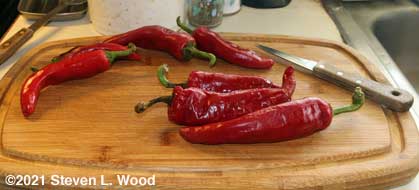 Ripe paprika peppers for seed saving