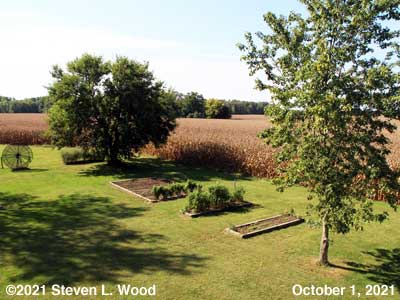 Our Senior Garden - October 1, 2021