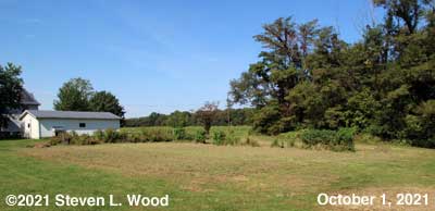 Our East Garden - October 1, 2021