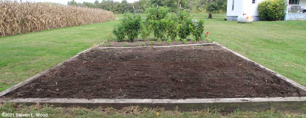 Main raised bed scuffle hoed