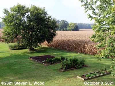Our Senior Garden - October 8, 2021
