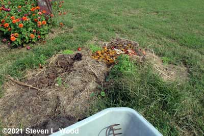 Old compost pile