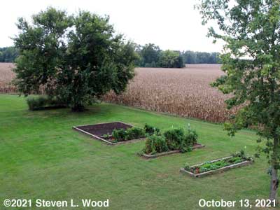Our Senior Garden - October 13, 2021
