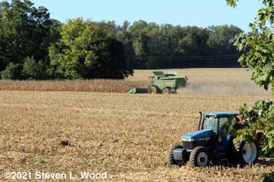 Field next to us harvested