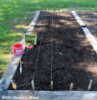 Rows staked and strung for planting